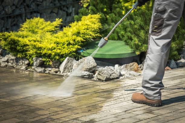 Best Soft Washing  in Centereach, NY