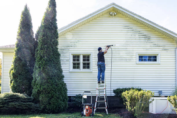 Best Gutter Cleaning  in Centereach, NY